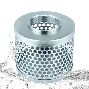 Valve Strainer