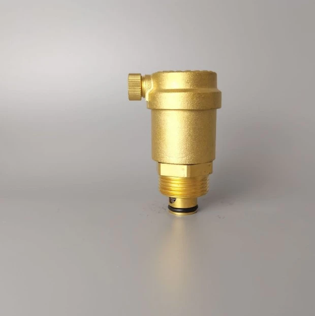 Brass material exhaust valve anti oxidation