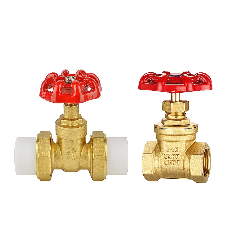 product-800-800 product-800-800